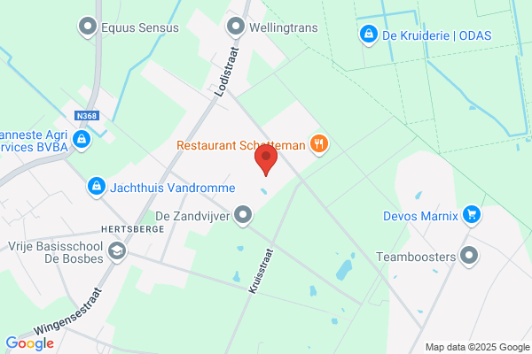 Biebauw N