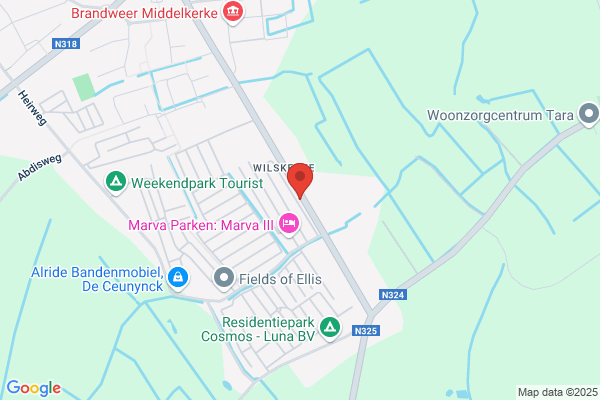 Meeuw Regis
