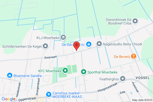 Houthandel Waasland Bvba