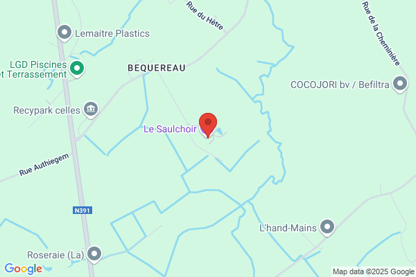 Château Du Saulchoir Sprl
