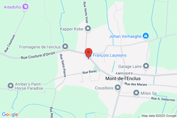 Laureyns François