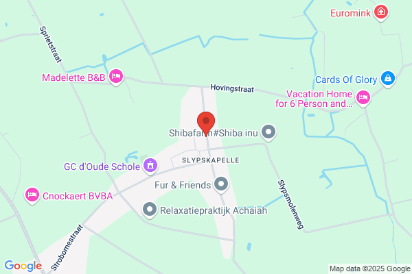 Hemelaere/Joris