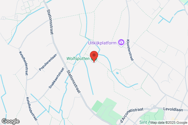 Wolfsput