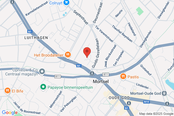 Bal-Ackermans P.