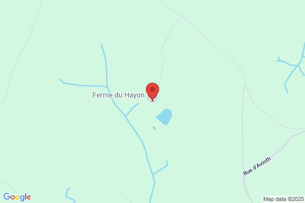 Hayon/Charles