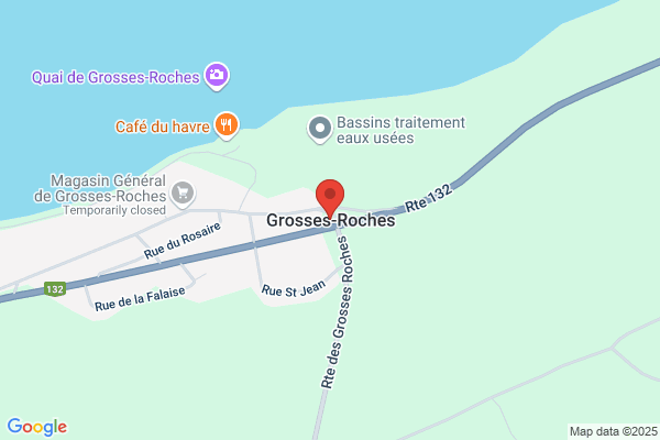 Roche/Georges