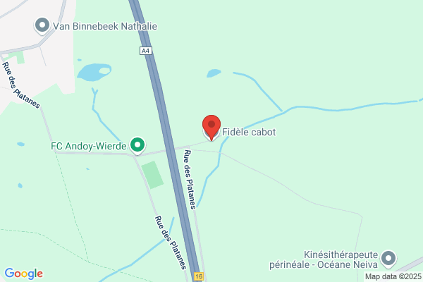 Fidèle Cabot (Au) Asbl