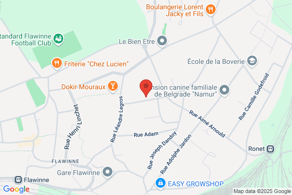Ficheroulle M
