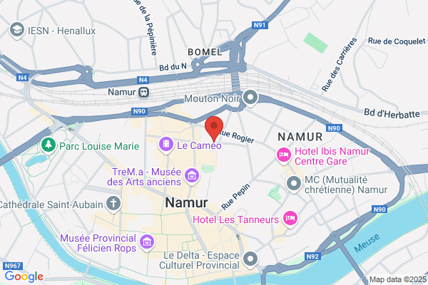 Croix Jaune Et Blanche De Namur
