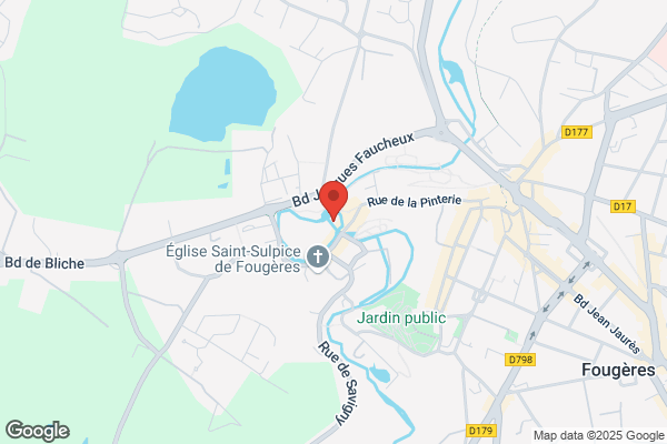 Les Fougères