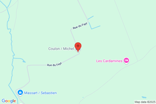 Coulon Michel