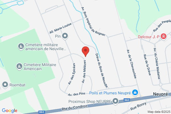 Thisse/Véronique