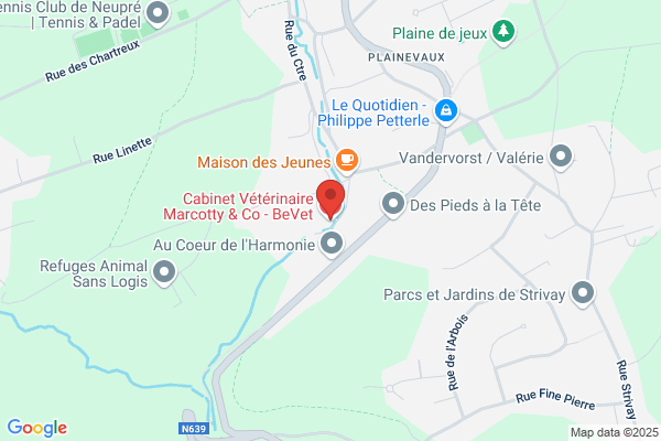 Piette/Jean-Yves