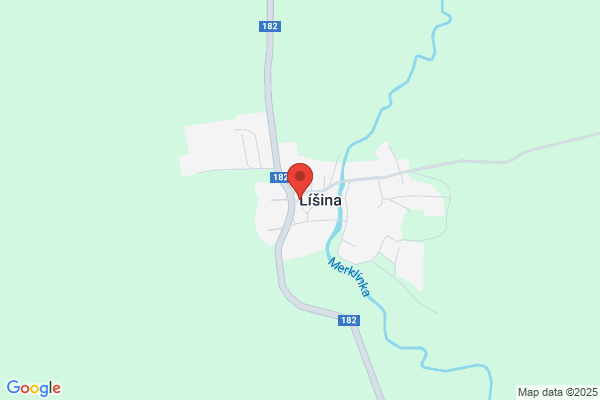 Lisin M