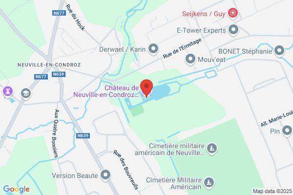 Vieux Château De La Neuville (Le)