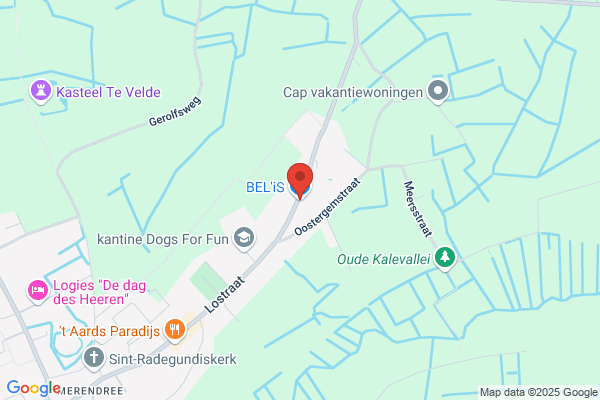Bels/Bart