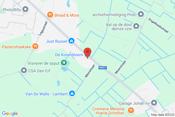 De Korenbloem
