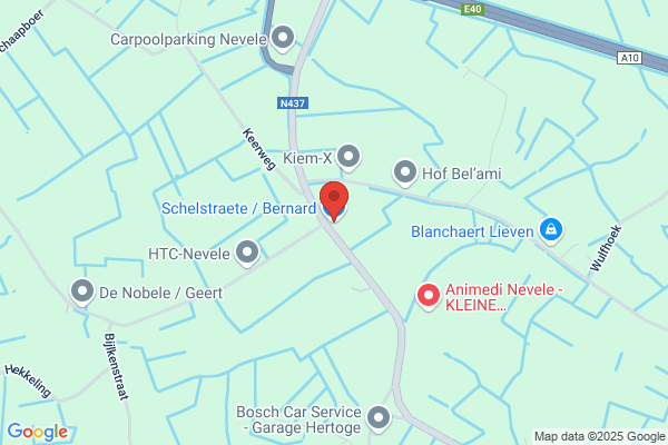De Schrijver/Johan