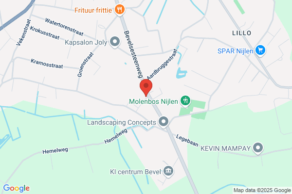 Dhaenens