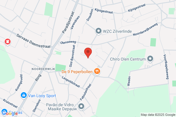 Data Raets Belgium Cvba