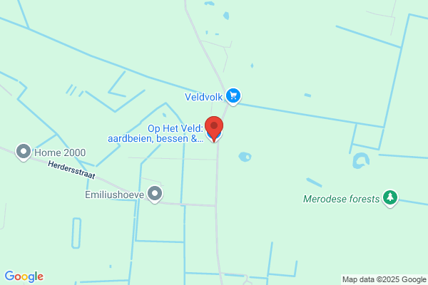 Tuintje (Het)