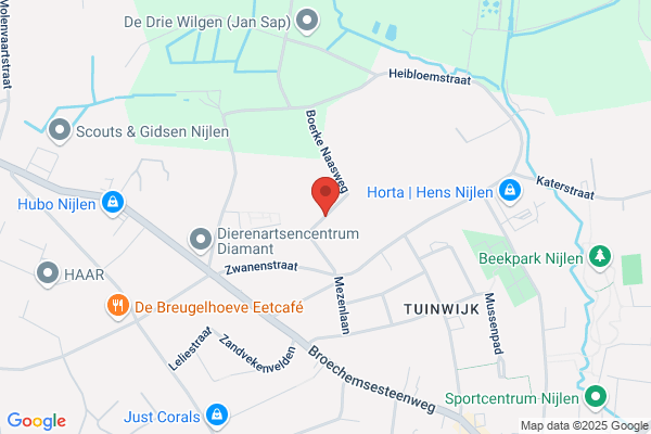 De Vos