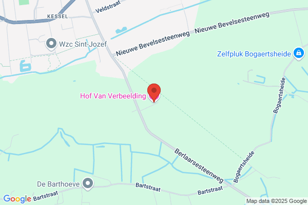 Van Der Hoeven R.