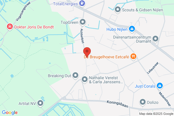 Traiteur-Bloemdecoraties Kristoff
