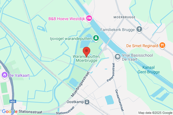 Gevaert/Leon