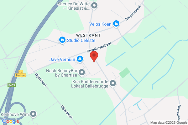 Vansteelandt Dirk