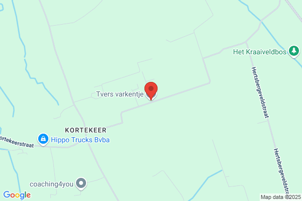 Truyaert-Verschoot/J.