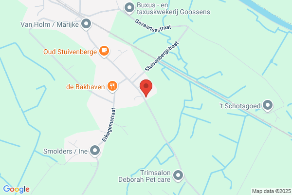 Debbaudt M