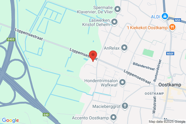 Vrije Basisschool Klimop