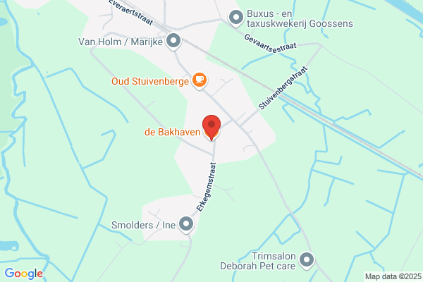 Janssen-De Backer/H.