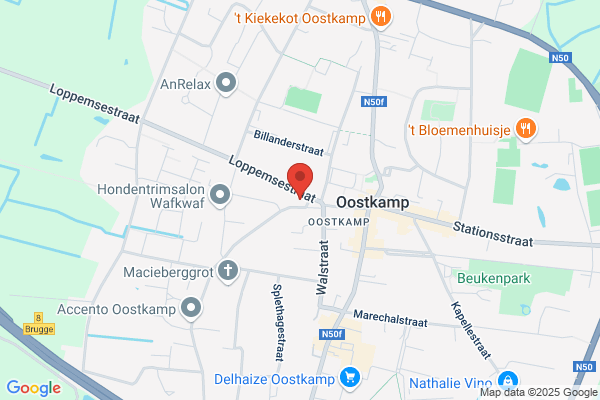 Kinepraktijk Origo