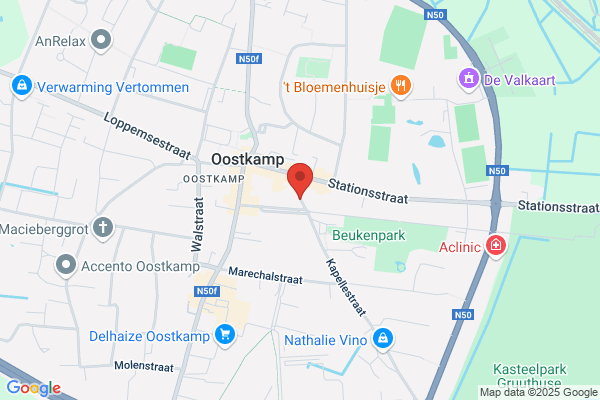 De Man Hereninstituut