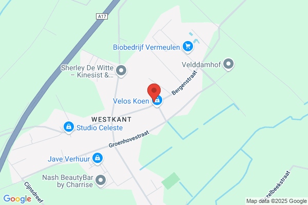 Vandewiele/Bart