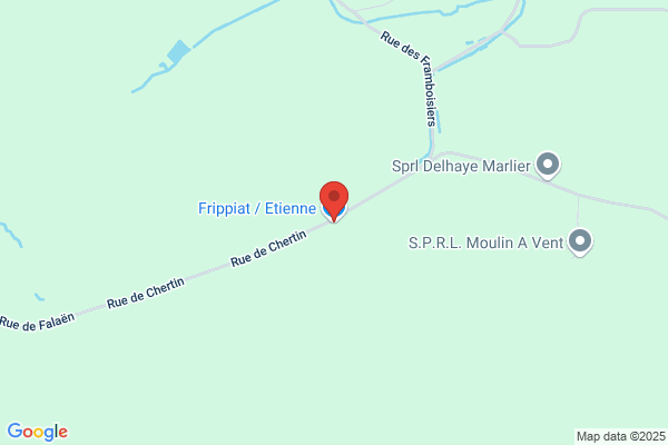 Frippiat E