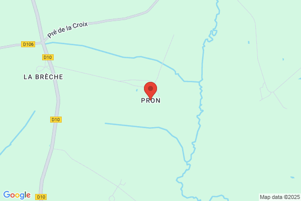 Le Cyprès De Provence