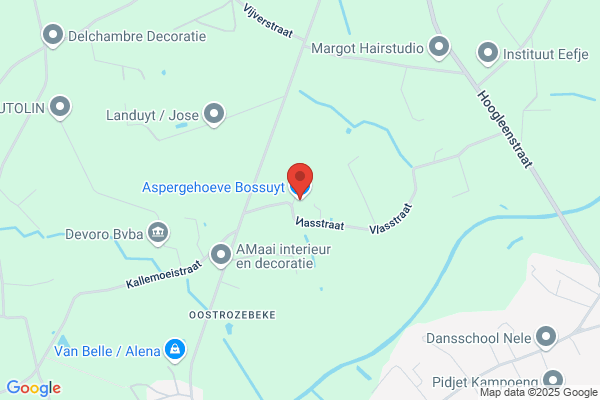 Algoedt/Werny