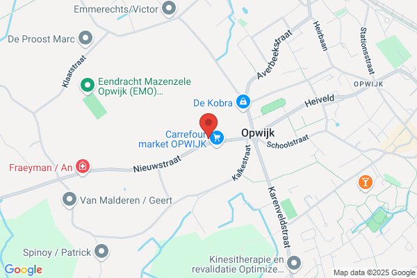 Van Holsbeeck P