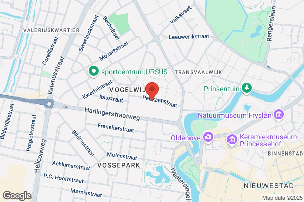 Lies Leemans Consult-Farmaceutisch Consult