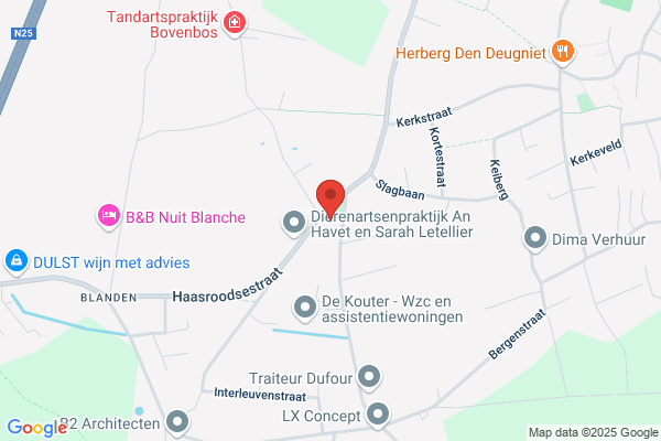 Leeman-Van 't Hof K.