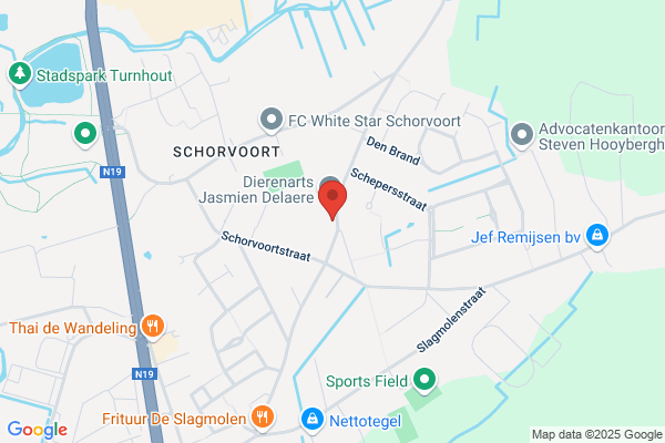 Van Loock/Jan