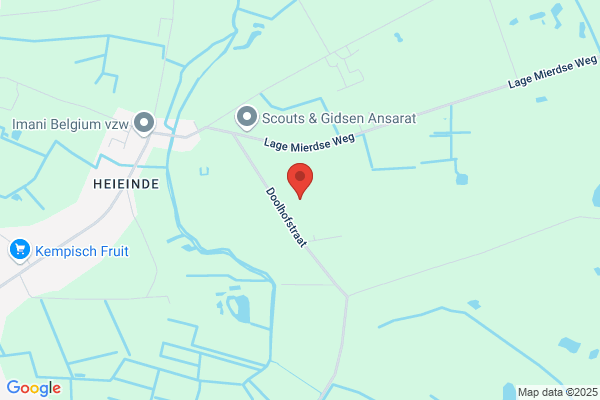 Bastiaansen P