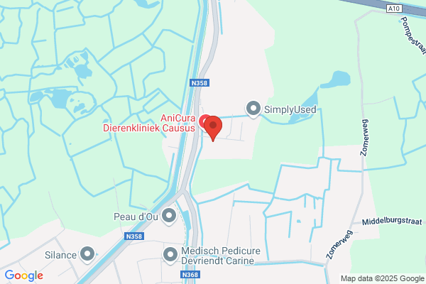 Vanoverbeke P