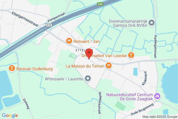 Kattenhotel Sfinx
