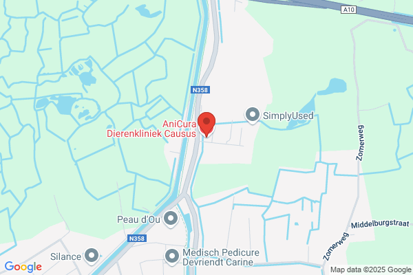 Dierenkliniek Causus