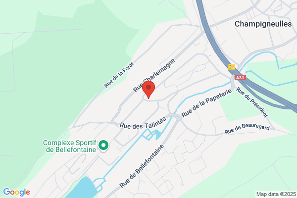 Amis De René Théwissen (Les)