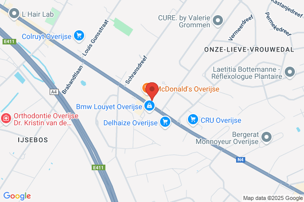 Cyberexcite Willemse